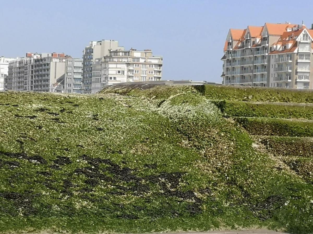 Westeinders Sea View Миделкерке Екстериор снимка