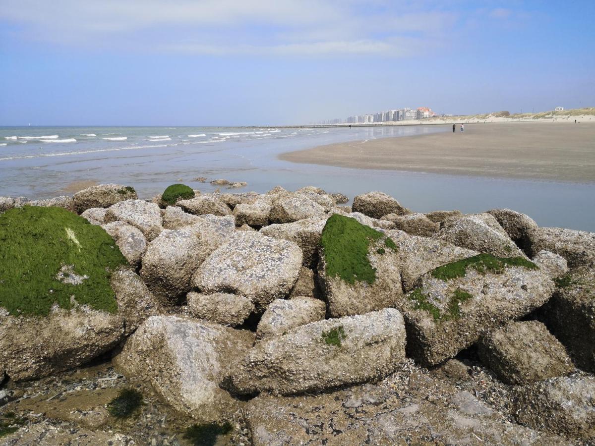 Westeinders Sea View Миделкерке Екстериор снимка